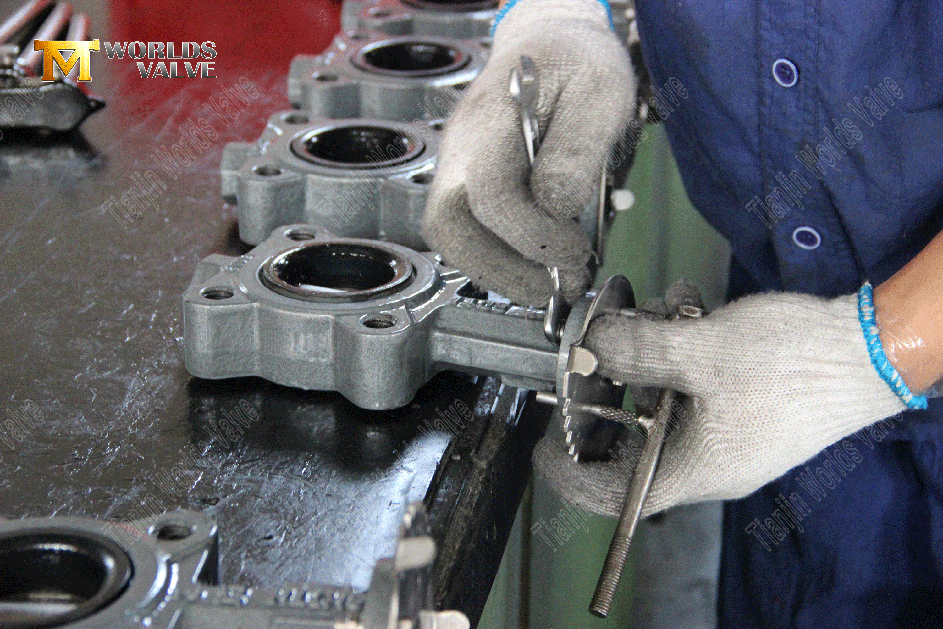 V&aacute;lvulas OEM ODM Fabricante Fabricante Lug V&aacute;lvulas de mariposa asentadas Resilient (5)