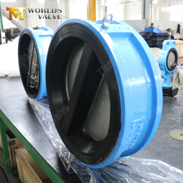 Válvula de retención tipo wafer de placa doble: cuerpo revestido de EPDM, disco CF8M, PN10, fabricante OEM
