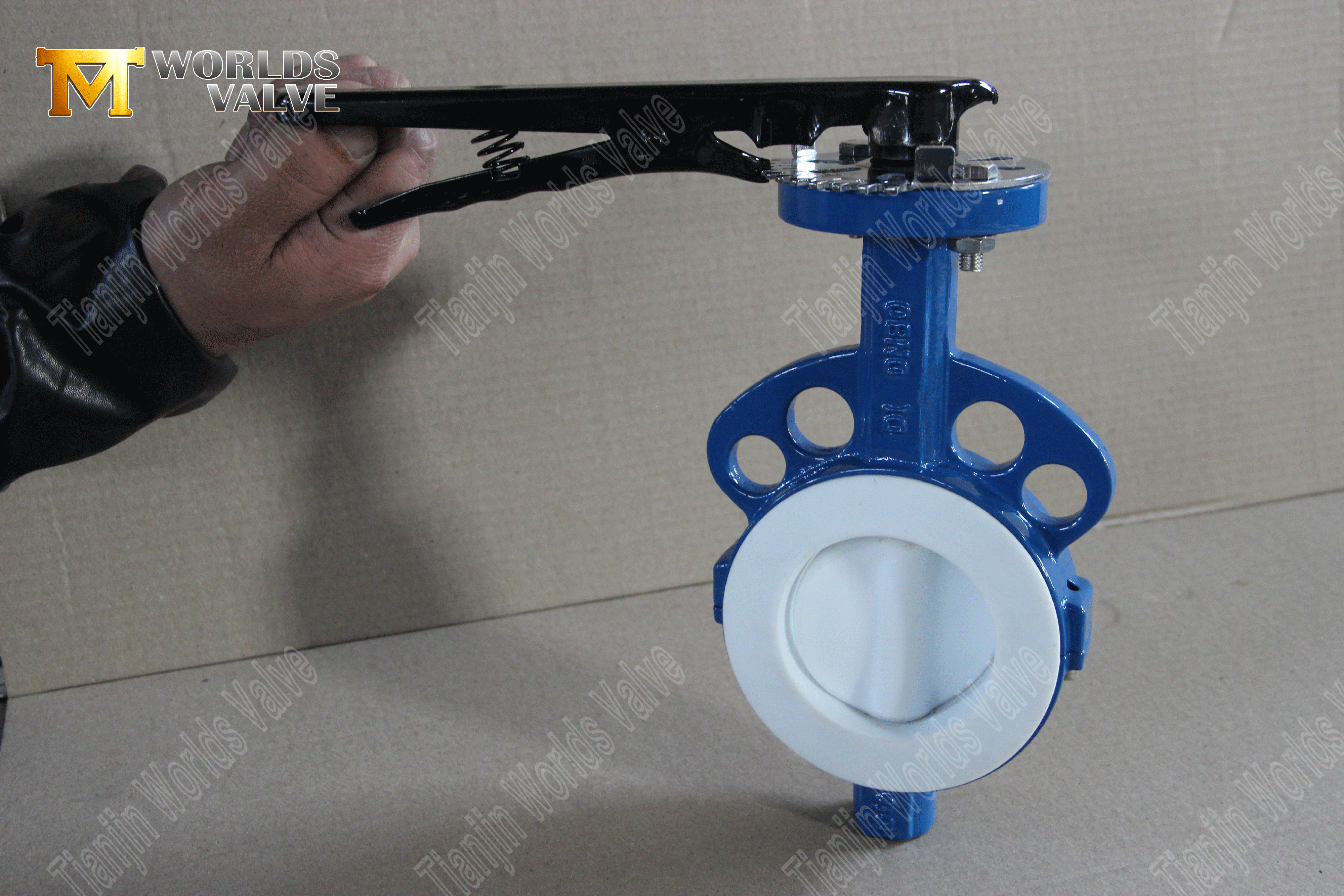 V&aacute;lvula de mariposa tipo oblea de PTFE: disco encapsulado de PTFE, clase 150, fabricante OEM (3).png