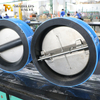Válvula de retención tipo wafer de placa doble: cuerpo revestido de EPDM, disco CF8M, PN10, fabricante OEM