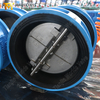 Válvula de retención tipo wafer de placa doble: cuerpo revestido de EPDM, disco CF8M, PN10, fabricante OEM